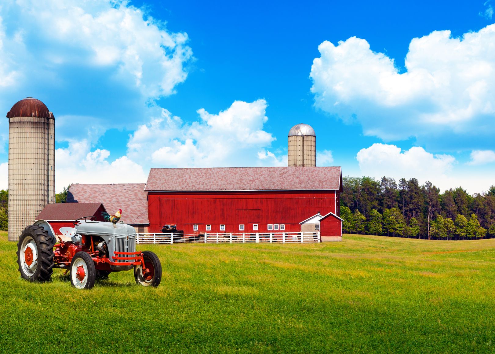 Laguna Niguel Farm & Ranch Insurance